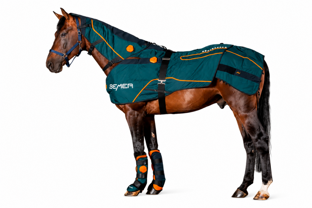 BEMER Horse-Set – Anwendung für Pferde kennenlernen